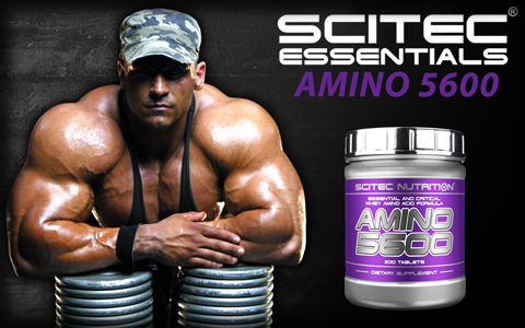 Amino 5600, Scitec Nutrition