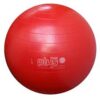 Gymnic plus red
